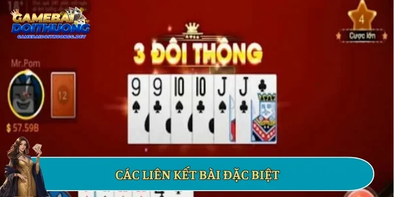 Các liên kết bài đặc biệt
