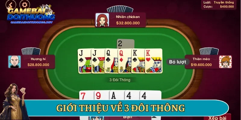 Giới thiệu về 3 đôi thông