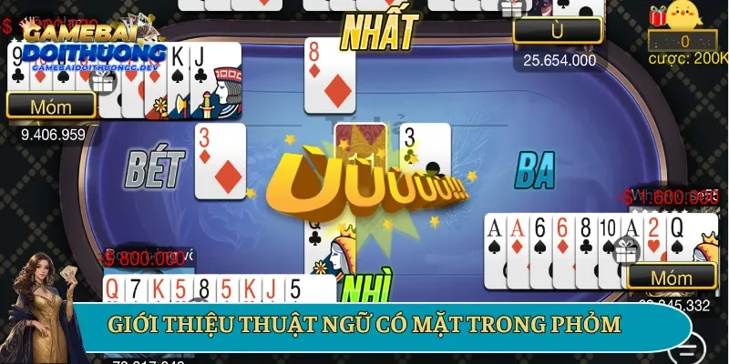 Review những thuật ngữ có mặt trong một ván Phỏm